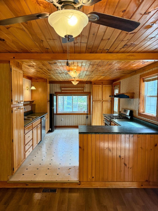 65 Pine Ridge Rd, Cushing, ME 04563 - kitchen with stainless steel appliances, wooden ceiling, dark countertops, wood finished floors, and a peninsula