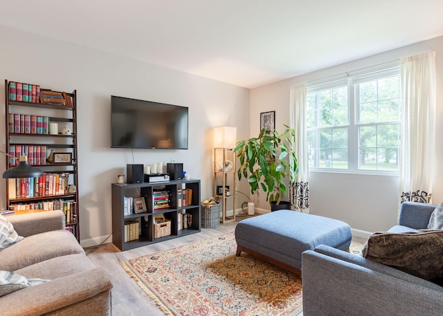 38 Guadalcanal St Unit 38, Brunswick, ME 04011 - living room featuring light wood-type flooring and baseboards