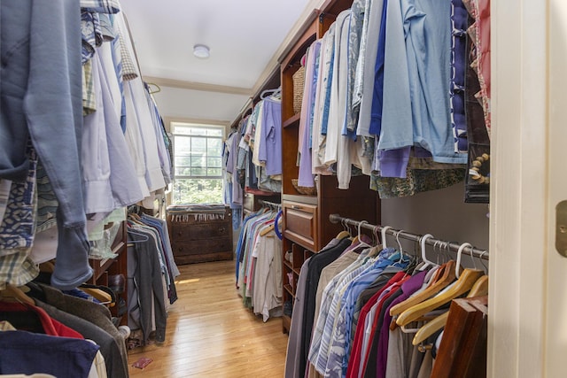 36 Acorn Ln, South Portland, ME 04106 - walk in closet featuring light wood-style floors