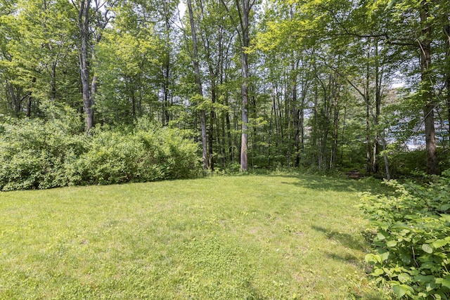 36 Acorn Ln, South Portland, ME 04106 - view of green lawn