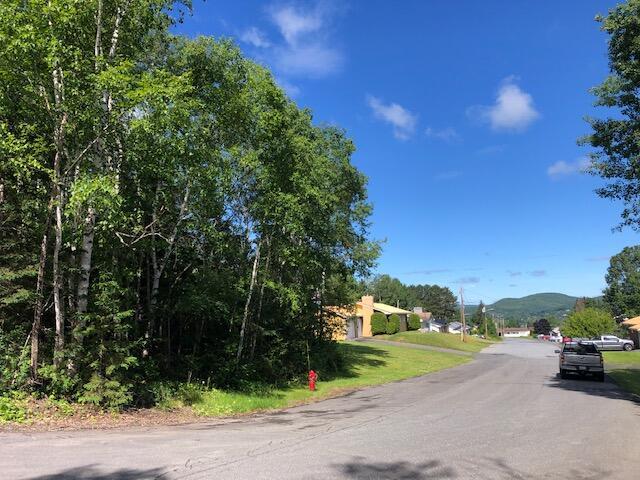 LOT94 Winter St, Madawaska, ME 04756 - photo 4