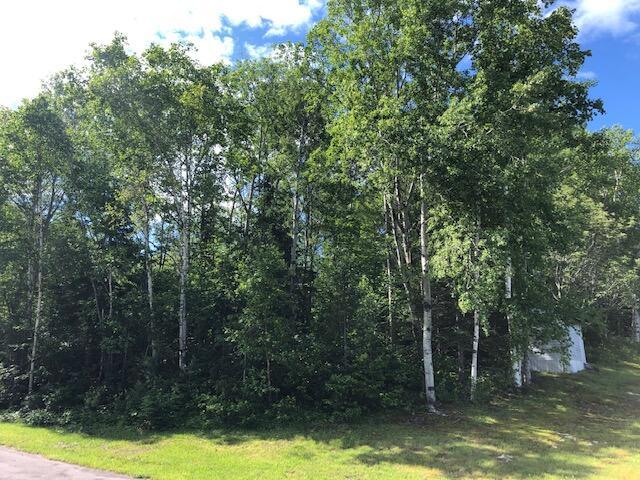 LOT94 Winter St, Madawaska, ME 04756 - photo 5