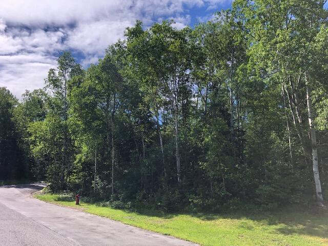 LOT94 Winter St, Madawaska, ME 04756 - photo 6