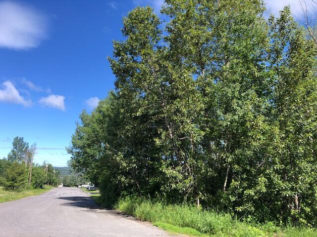 LOT94 Winter St, Madawaska, ME 04756 - photo 11