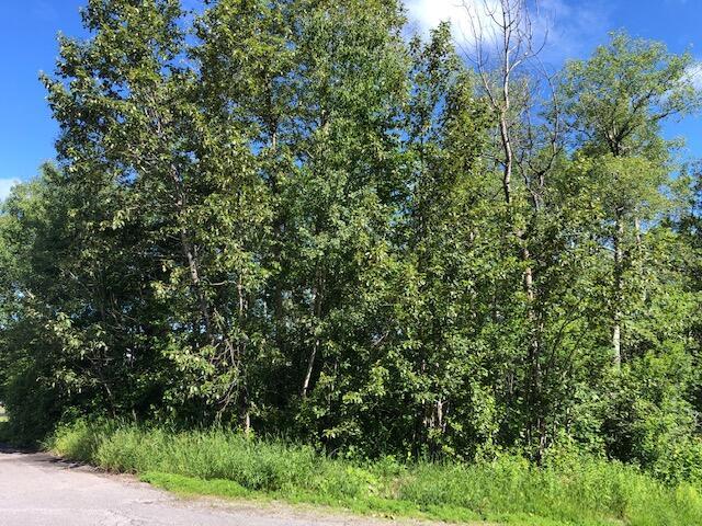 LOT94 Winter St, Madawaska, ME 04756 - photo 12