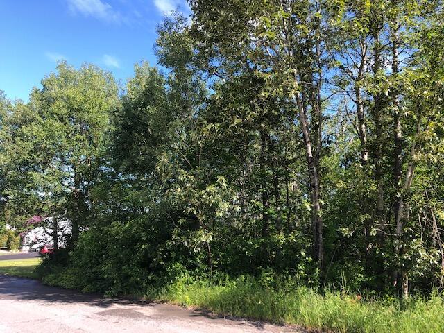 LOT94 Winter St, Madawaska, ME 04756 - photo 15