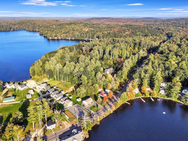 18 Lintonia Dr Unit 17, Litchfield, ME 04350
