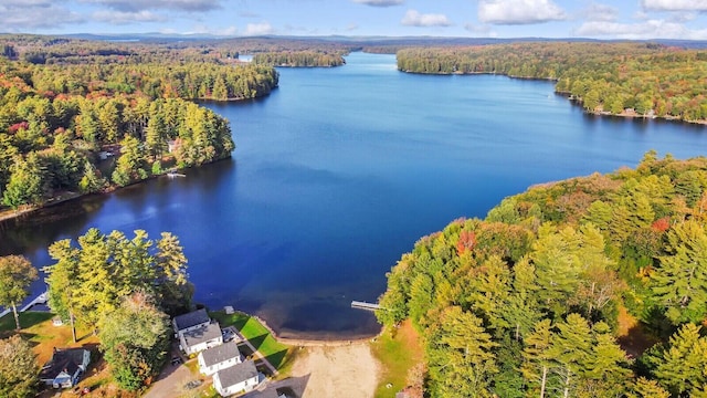 18 Lintonia Dr Unit 17, Litchfield, ME 04350