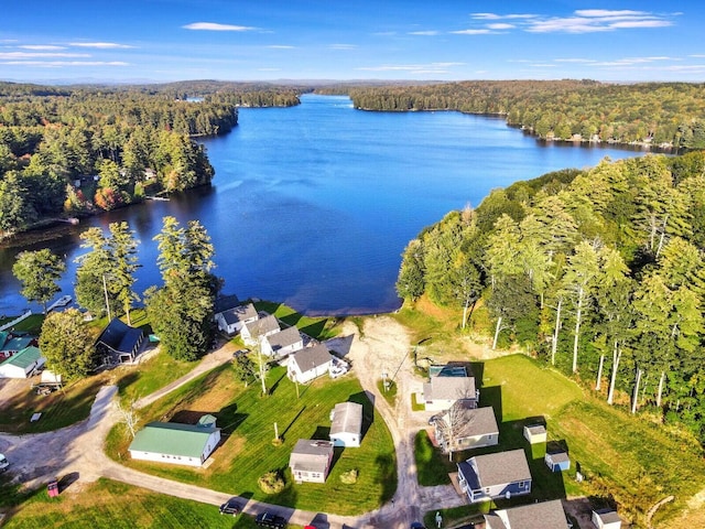 21 Lintonia Dr Unit 11, Litchfield, ME 04350