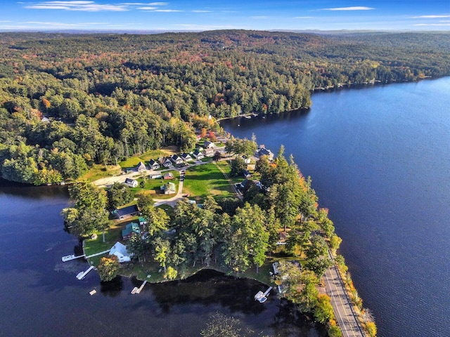 21 Lintonia Dr Unit 11, Litchfield, ME 04350