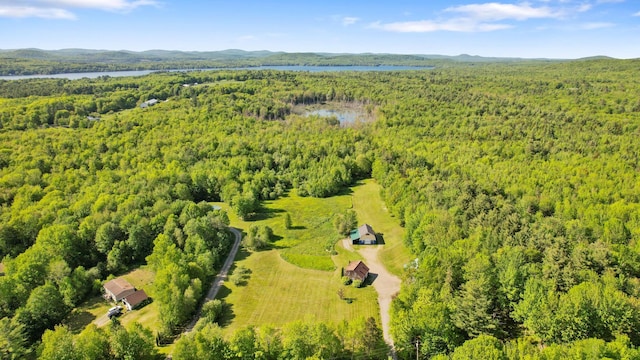 234 Harriman Rd, Swanville, ME 04915 - photo 96