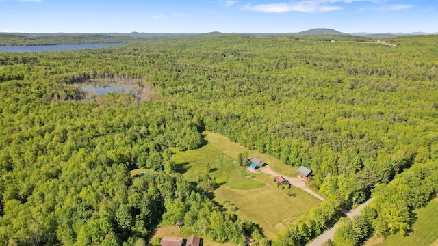 234 Harriman Rd, Swanville, ME 04915 - photo 97