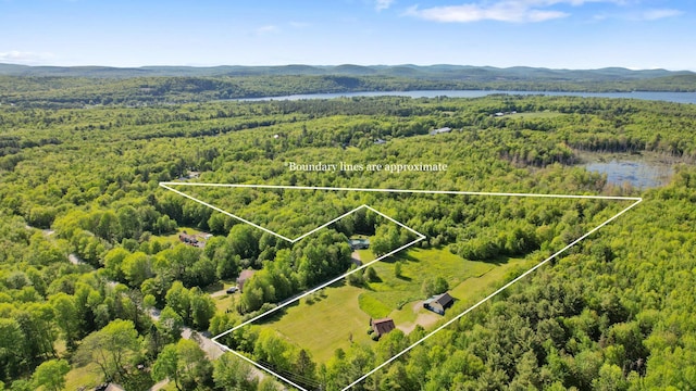 234 Harriman Rd, Swanville, ME 04915 - photo 94