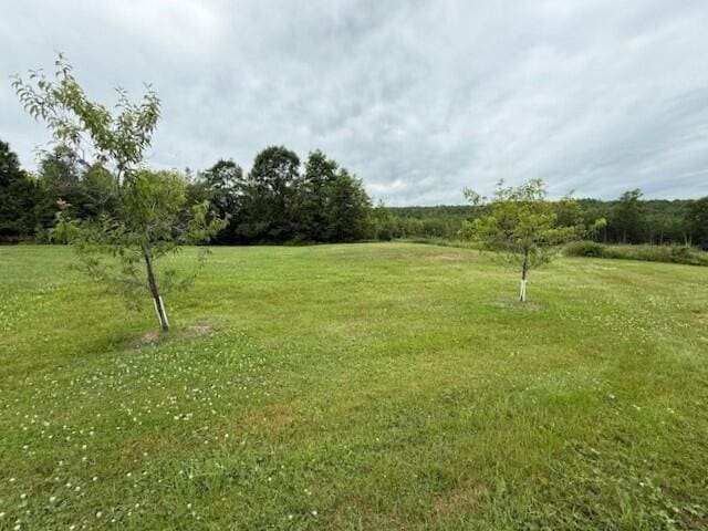 135 Lyle Hall Rd, Wilton, ME 04294 - photo 100