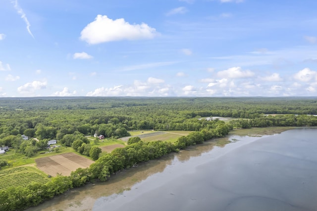 145 Pork Point Rd, Bowdoinham, ME 04008 - bird's eye view of a heavily wooded area and a large body of water