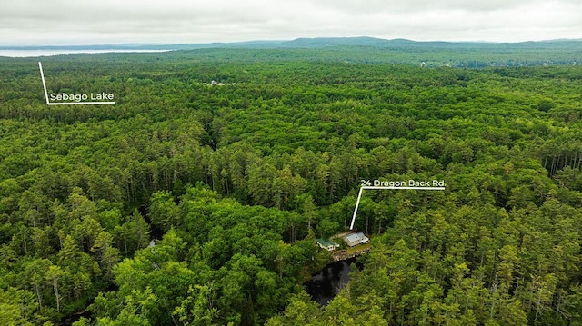 24 Dragon Back Rd, Naples, ME 04055 - view of property location with a forest and property boundaries highlighted