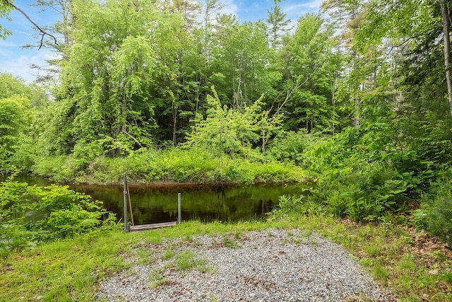 24 Dragon Back Rd, Naples, ME 04055 - view of yard