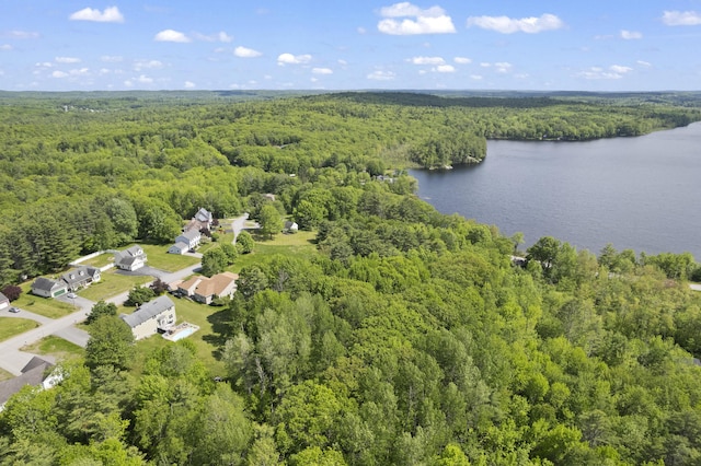 18 Waters Edge Dr, Lewiston, ME 04240 - photo 3
