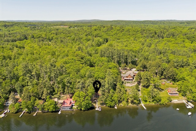 8 S Heritage Woods Ln, Winthrop, ME 04364 - bird's eye view of a forest and a nearby body of water