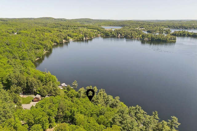8 S Heritage Woods Ln, Winthrop, ME 04364 - bird's eye view of a forest and a nearby body of water