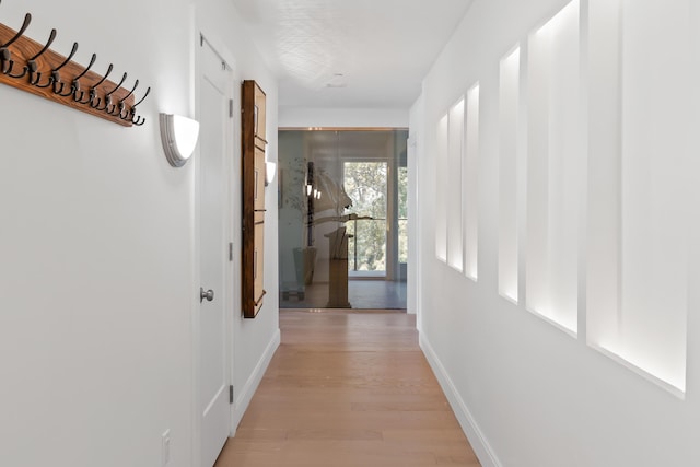 218 Washington Ave Unit 401, Portland, ME 04101 - hallway with light wood finished floors and baseboards