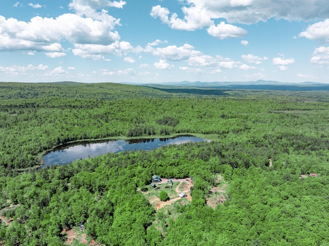 10 Trista Ln, Mercer, ME 04957 - photo 42
