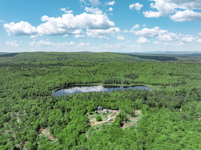 10 Trista Ln, Mercer, ME 04957 - photo 43