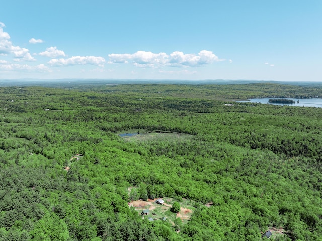 10 Trista Ln, Mercer, ME 04957 - photo 48