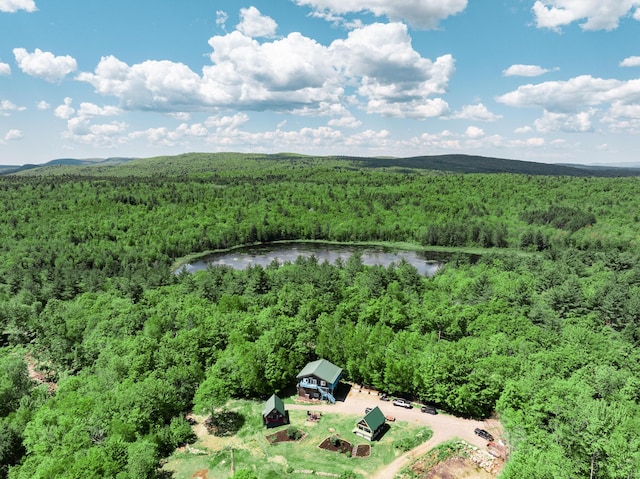 10 Trista Ln, Mercer, ME 04957 - photo 45