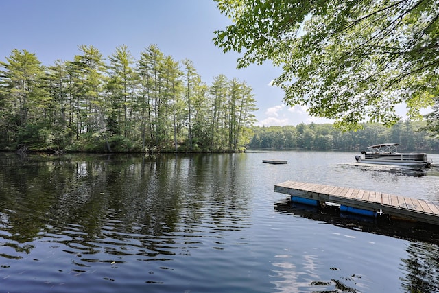 10 Bluff Dr, Lyman, ME 04002 - photo 10
