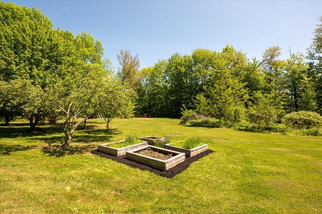 15 Feylers Corner Rd, Waldoboro, ME 04572 - view of grassy yard featuring a vegetable garden