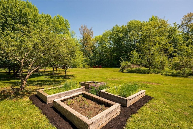 15 Feylers Corner Rd, Waldoboro, ME 04572 - view of grassy yard with a garden