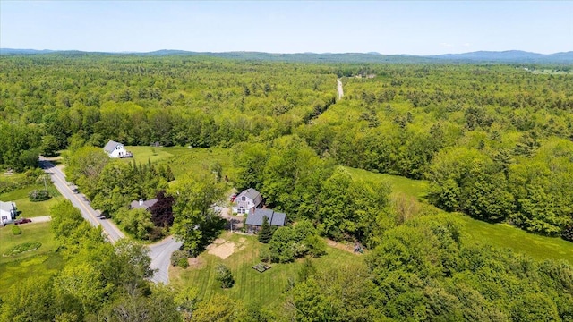 15 Feylers Corner Rd, Waldoboro, ME 04572 - bird's eye view of a heavily wooded area