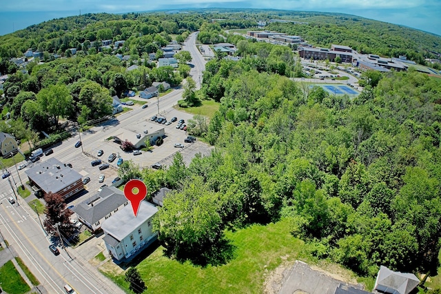 181 Webster St, Lewiston, ME 04240 - drone / aerial view of a heavily wooded area