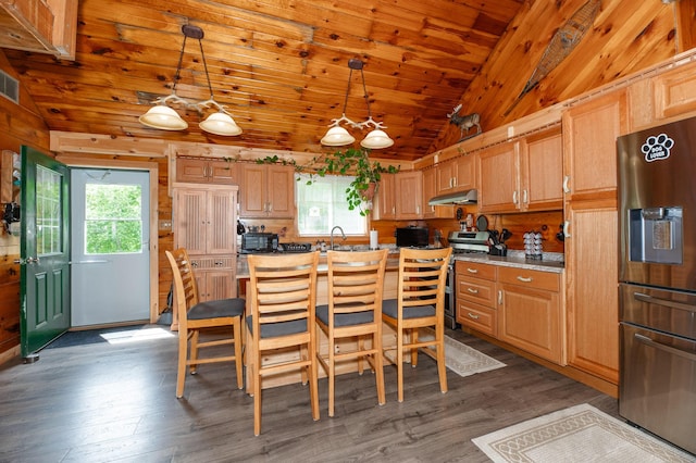 15 Doe Cir, Bingham, ME 04920 - kitchen featuring appliances with stainless steel finishes, lofted ceiling, under cabinet range hood, a sink, and dark wood-type flooring
