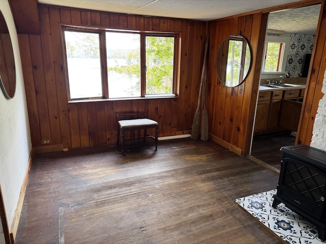 46 Arrowsic Rd, Arrowsic, ME 04530 - foyer entrance featuring baseboards, dark wood-style flooring, wooden walls, and a wood stove