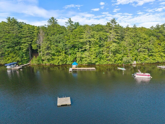 19 Lakeside Dr, Falmouth, ME 04105 - photo 54