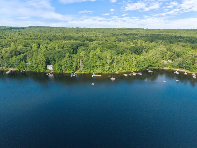 19 Lakeside Dr, Falmouth, ME 04105 - photo 55