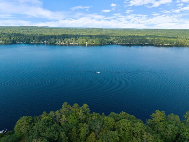 19 Lakeside Dr, Falmouth, ME 04105 - photo 58
