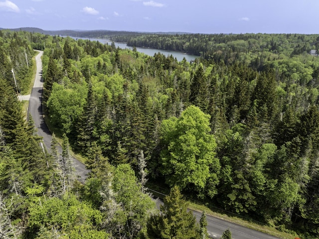 47 Yoho Head Rd, Machiasport, ME 04655