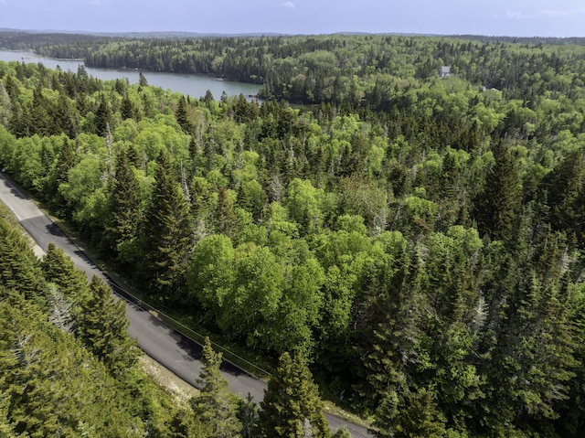 47 Yoho Head Rd, Machiasport, ME 04655
