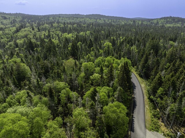 47 Yoho Head Rd, Machiasport, ME 04655
