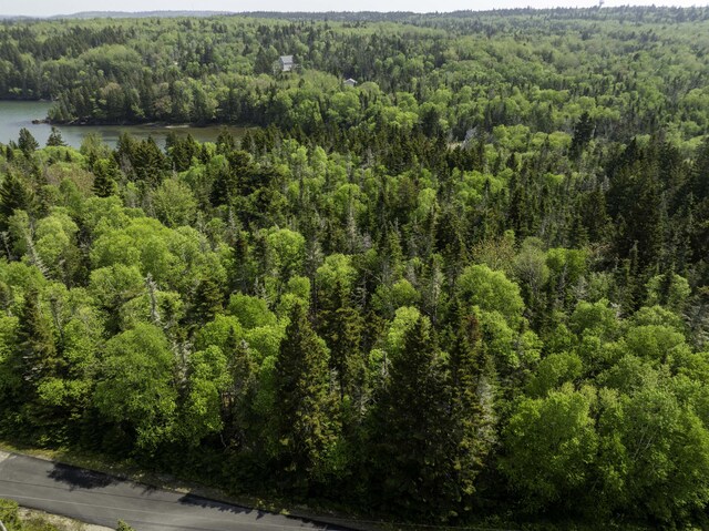 47 Yoho Head Rd, Machiasport, ME 04655