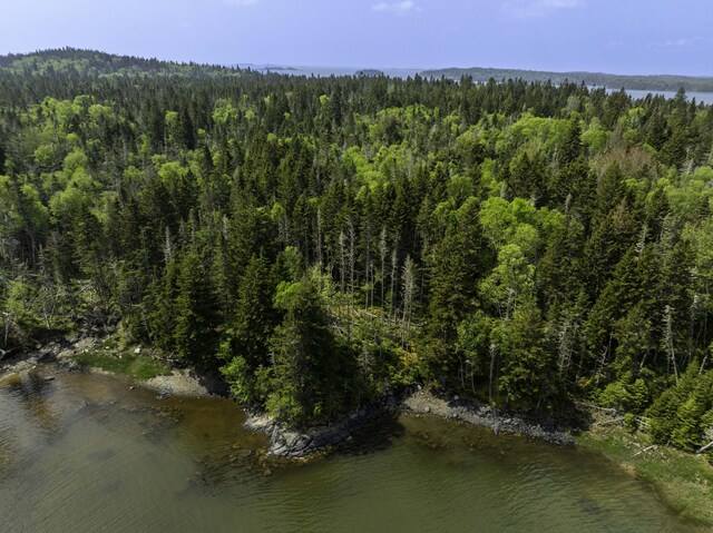 47 Yoho Head Rd, Machiasport, ME 04655