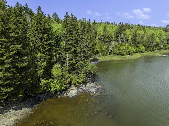 47 Yoho Head Rd, Machiasport, ME 04655