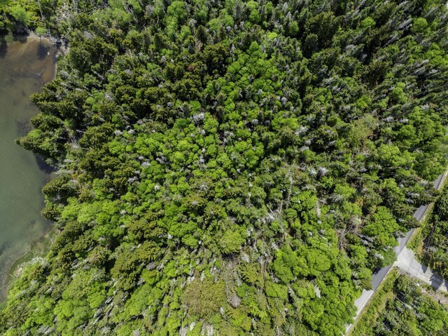 47 Yoho Head Rd, Machiasport, ME 04655