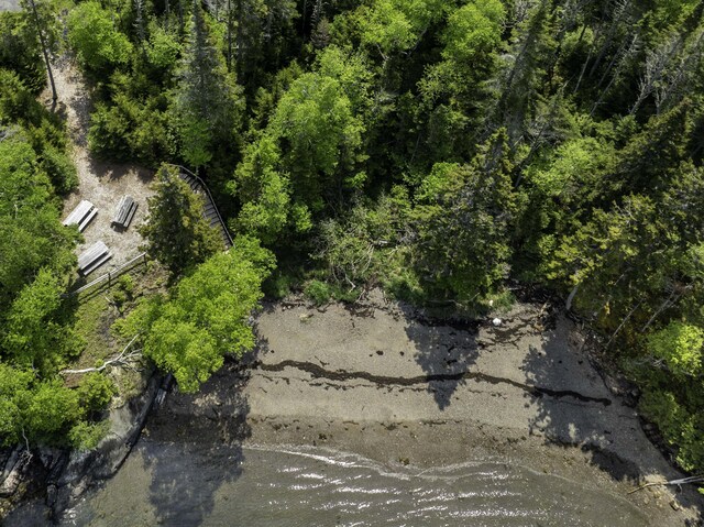 47 Yoho Head Rd, Machiasport, ME 04655