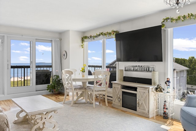 1 Seacliff Ave Unit 3D, Old Orchard Beach, ME 04064 - living area featuring healthy amount of natural light, wood finished floors, and a glass covered fireplace