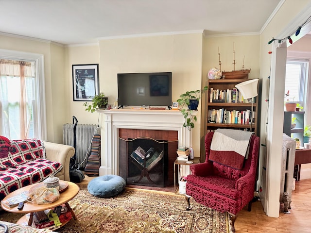91 Washburn Ave, Portland, ME 04102 - living area featuring wood finished floors, crown molding, a fireplace, and radiator heating unit