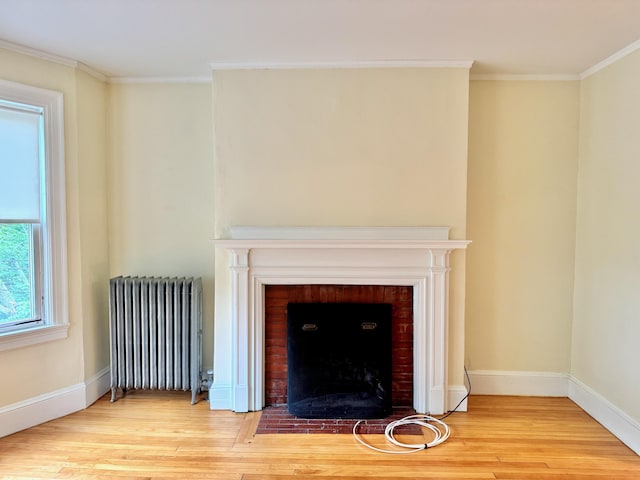 91 Washburn Ave, Portland, ME 04102 - detailed view of radiator heating unit, a fireplace, wood finished floors, baseboards, and ornamental molding